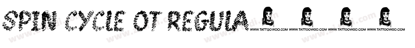 Spin Cycle OT Regula字体转换